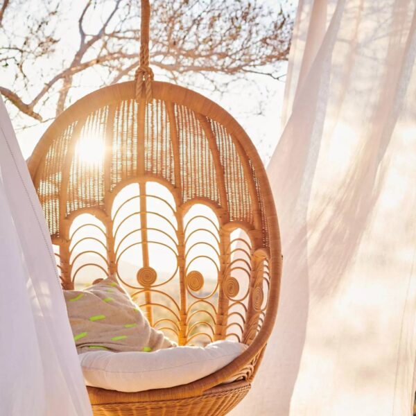 Peacock Hanging Chair (7) Peacock Hanging Chair